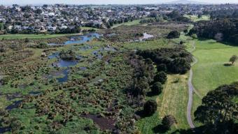 Waiatarua reserve - Aucklandcouncil.nz