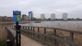 Woodberry Wetlands - Stefan Versweyveld