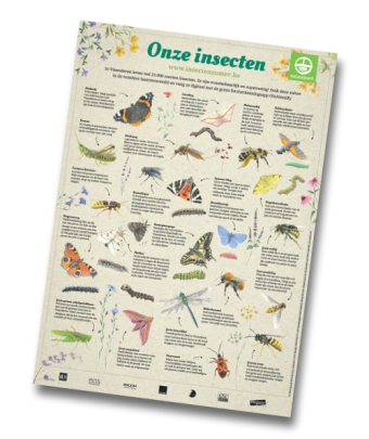 Insectenposter Insectenposter