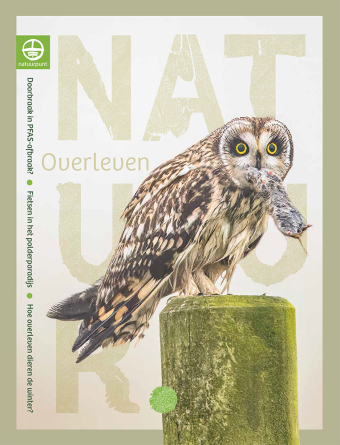 Natuur. 2024-4 Winter Cover