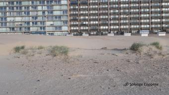 Middelkerke groen strand