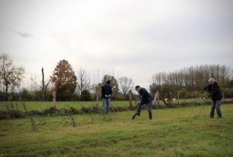 Aanplant rozen Thesebroek