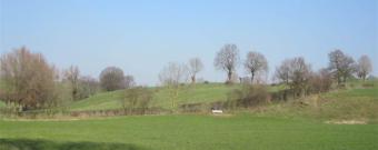 Landschap met houtkanten