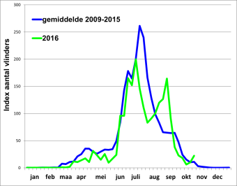 afbeelding1.png