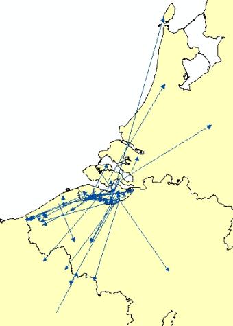 Verspreidingspatroon jonge bruine kiekendieven