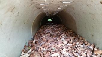 amfibietunnel.jpg