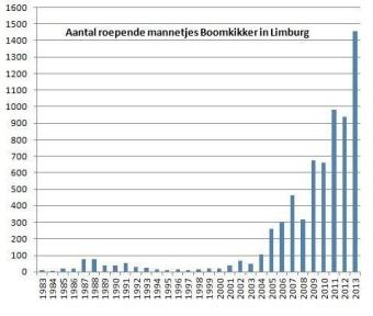 boomkikker_3.jpg