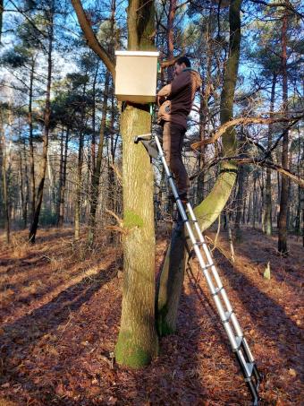 Ophangen boommarterkast