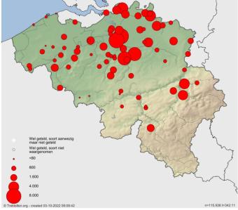 doortrekpatroon_belgie_1_okt_22.jpg