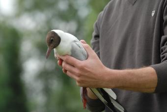 dsc_0033.jpg