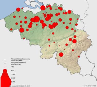 Kaart Eurobirdwatch