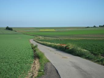 fig2-vlaamseleemstreek-remarevens.jpg