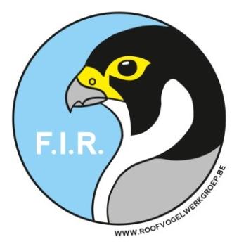 fir.jpg