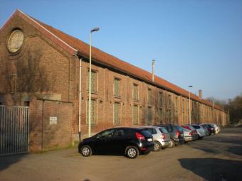 gierzwaluw2.jpg