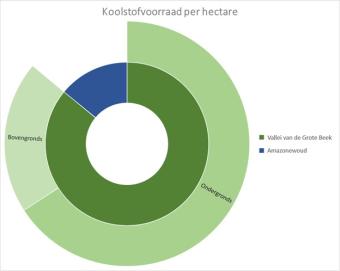 grafiek_koolstofopslag.jpg
