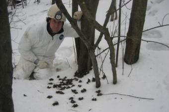 greg_turner_with_dead_bats_web_res_07ae5.jpg