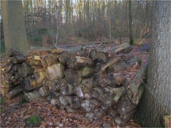 houtstapel_0.jpg
