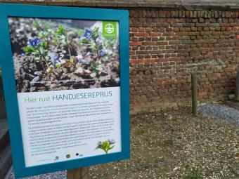 Infobord handjesereprijs