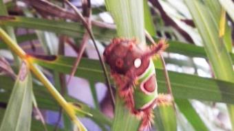 img_20131030_1243181.jpg