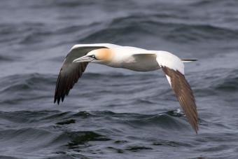 img_4186.jpg