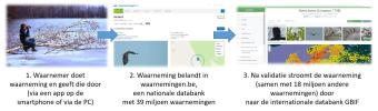 infographic GBIF