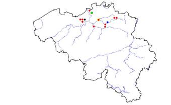 Verspreiding Callidiellum rufipenne 