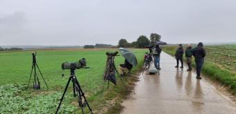 Leefdaal in de regen
