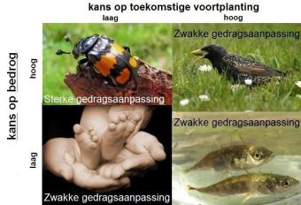 matrix_natuurbericht2.jpg