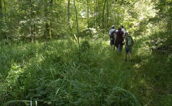 rs31061_wandelen_in_belval_belval22_82_eric_malfait-scr.jpg