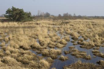 rs44009_img_6081b.jpg
