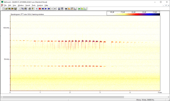 spectogram Grote hoefijzerneus
