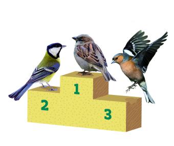 top3-vogelweekend_2016.jpg