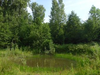 Poel Merelbeke