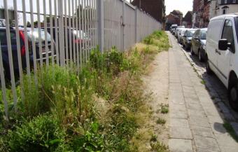 tours_en_taxis_sint-jans-molenbeek_-_vindplaats_bijen.jpg