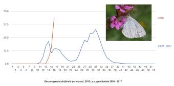 Trendlijn Boomblauwtje