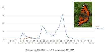 Trendlijn Kleine vos