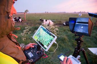 drone velduil Dieter Coelembier
