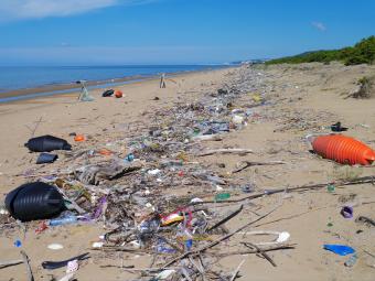 vervuild_strand_varano_mail_p1170420.jpg