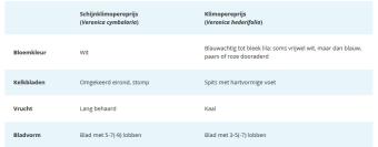 vgl_klimopereprijs.jpg