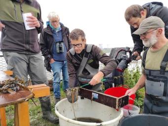 Monitoring vissen (Alain Dillen) Monitoring vissen
