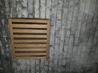 schuilplaats vleermuizen