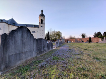 vlierbeek.png