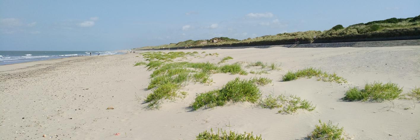 Oostoever Oostende