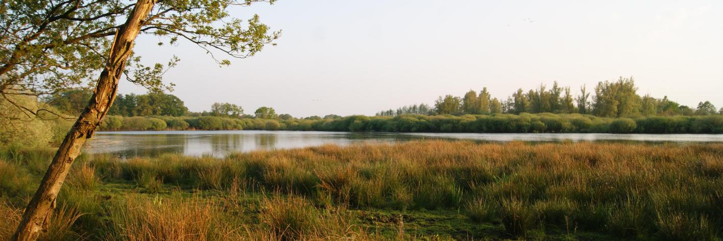 Bocholt-Moonen_Remi