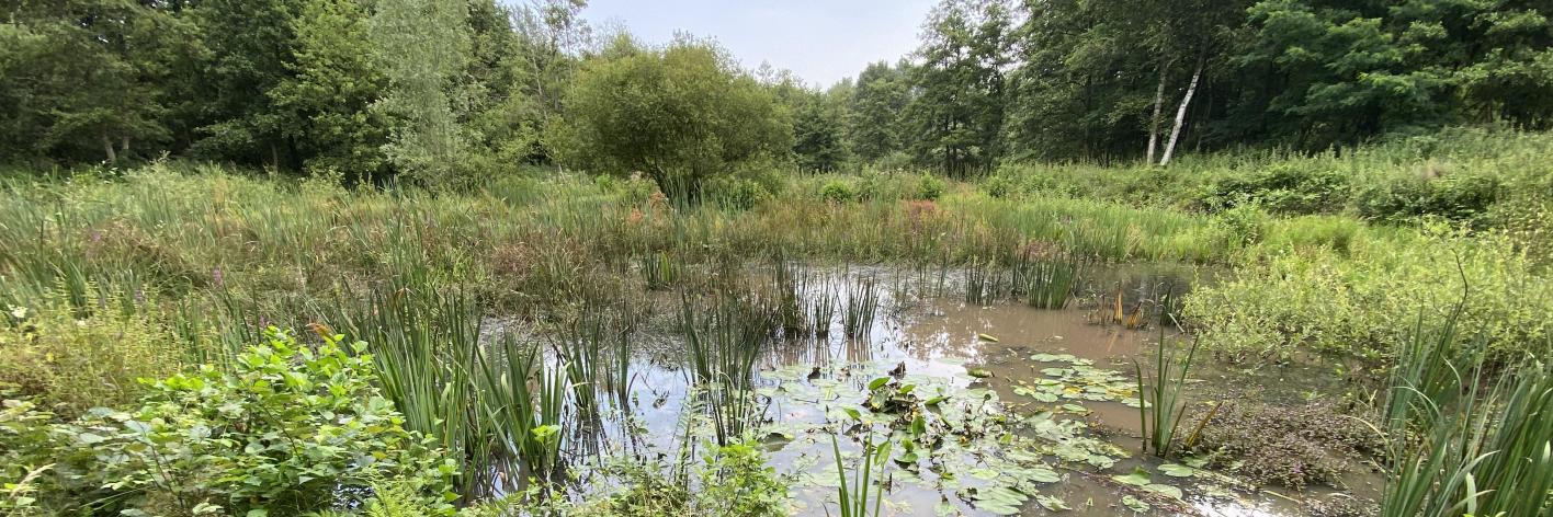 natuurpunt_westerlo