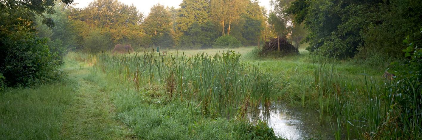 patrick_de_clercq_-_wijmelbroek_-_deerlijk