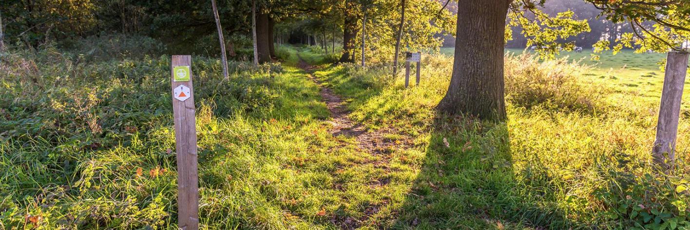 plaisiersbos-natuurpunt_zedelgem-_erwin_derous