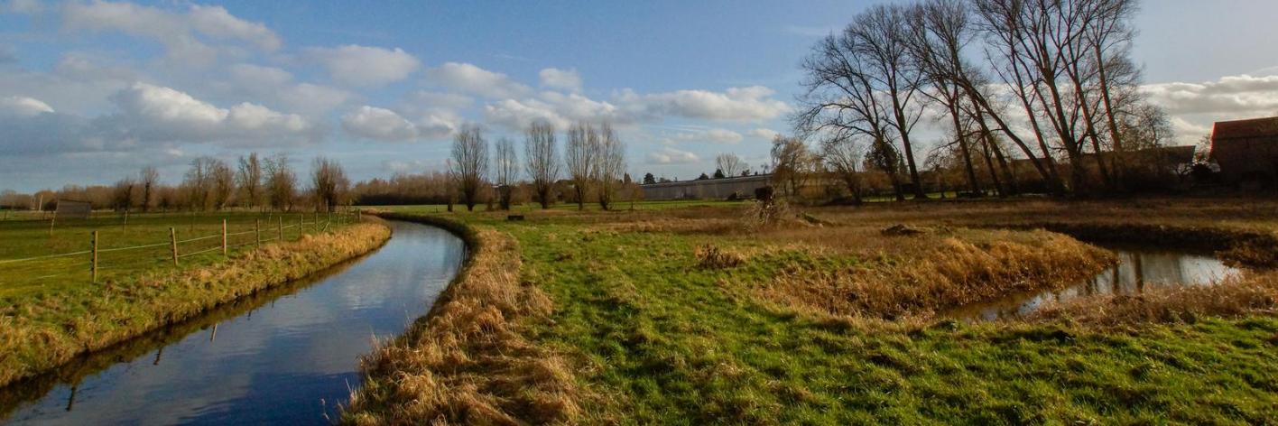 gaverbeekse_meersen_-_natuurpunt_waregem-peter_depodt