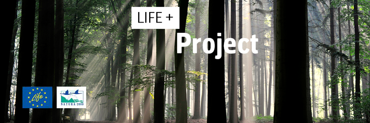 LIFE + project