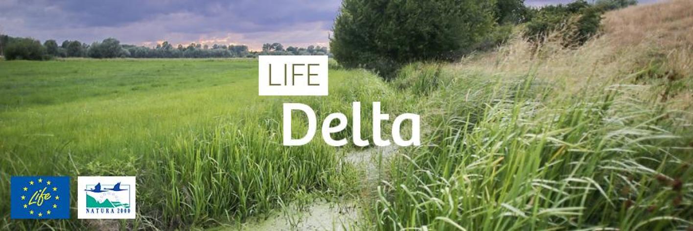 banner_life_delta